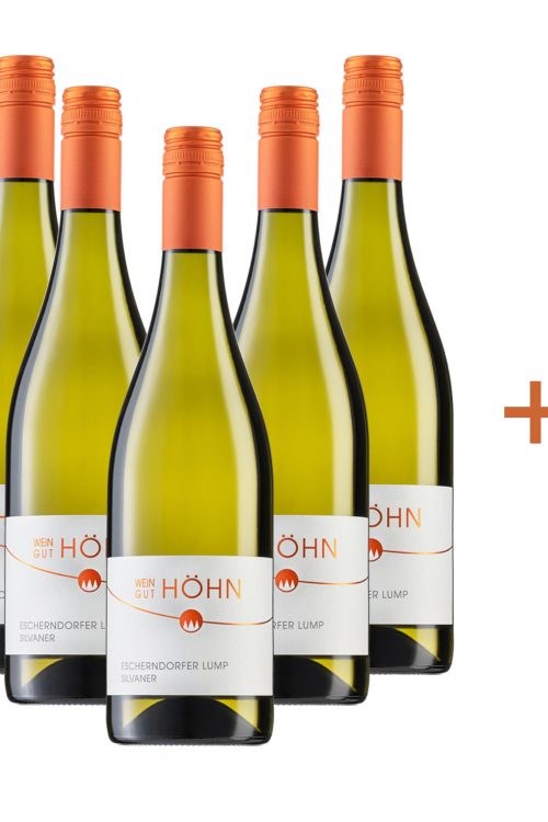 Aktion 5+1 Escherndorf Lump Silvaner